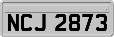NCJ2873