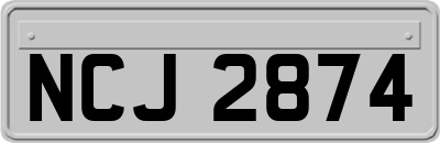 NCJ2874