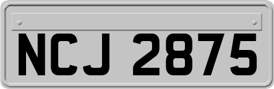 NCJ2875