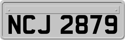 NCJ2879