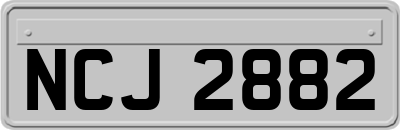 NCJ2882