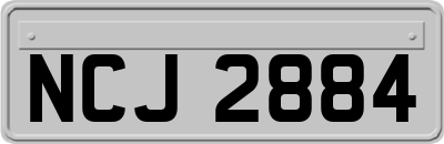 NCJ2884