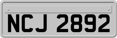 NCJ2892