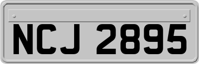 NCJ2895