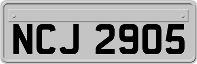 NCJ2905