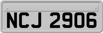 NCJ2906