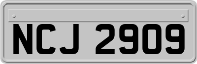 NCJ2909