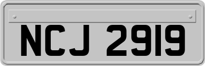 NCJ2919