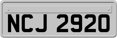 NCJ2920