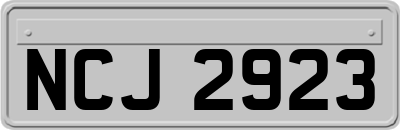 NCJ2923