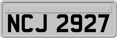 NCJ2927