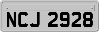 NCJ2928