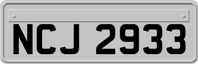 NCJ2933