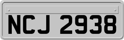 NCJ2938
