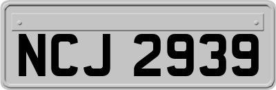 NCJ2939