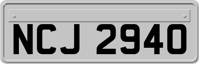 NCJ2940