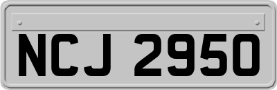 NCJ2950