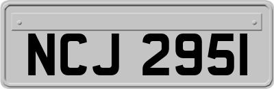 NCJ2951