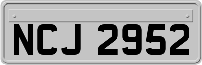 NCJ2952
