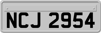 NCJ2954
