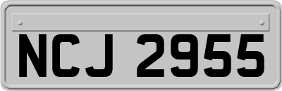 NCJ2955