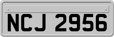 NCJ2956