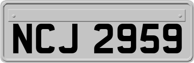 NCJ2959