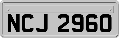 NCJ2960