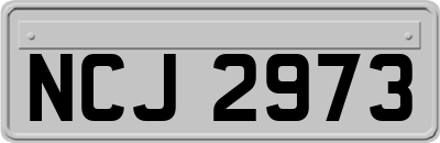 NCJ2973