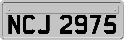 NCJ2975