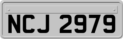 NCJ2979