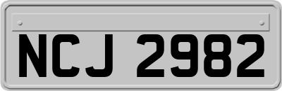 NCJ2982