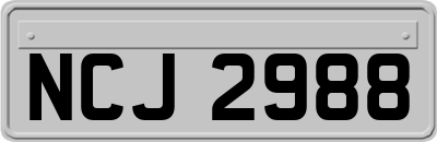NCJ2988