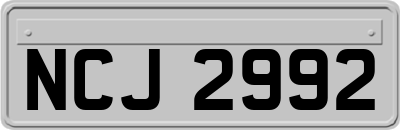 NCJ2992