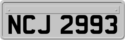 NCJ2993
