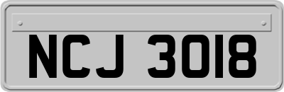 NCJ3018