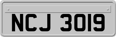 NCJ3019