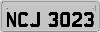 NCJ3023