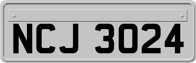 NCJ3024
