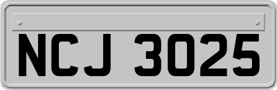 NCJ3025