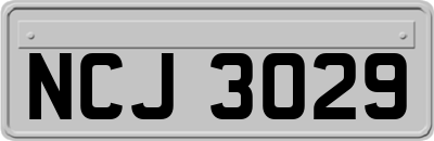 NCJ3029