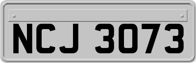 NCJ3073