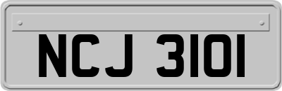 NCJ3101