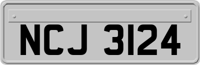 NCJ3124