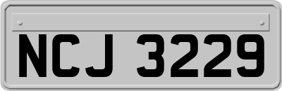 NCJ3229