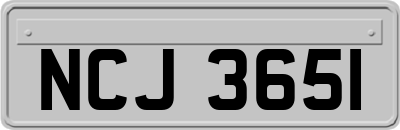 NCJ3651