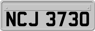 NCJ3730