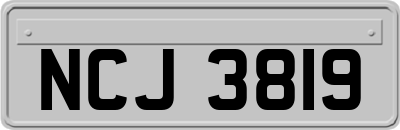 NCJ3819