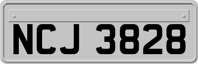 NCJ3828