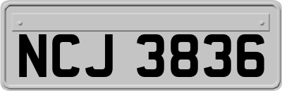 NCJ3836